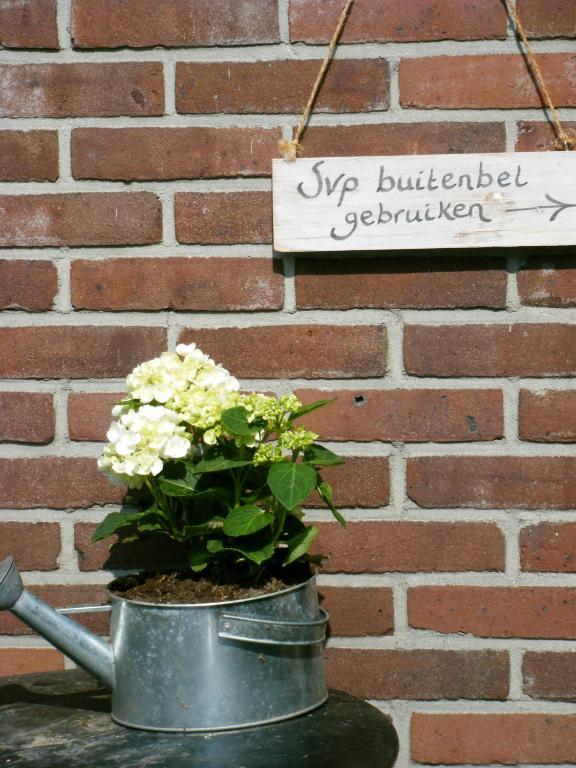 Molenvoort Bed and Breakfast Wachtum Exterior foto