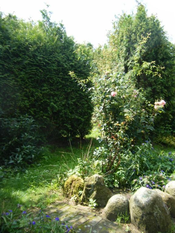 Molenvoort Bed and Breakfast Wachtum Exterior foto