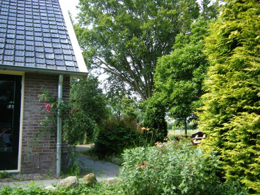 Molenvoort Bed and Breakfast Wachtum Exterior foto